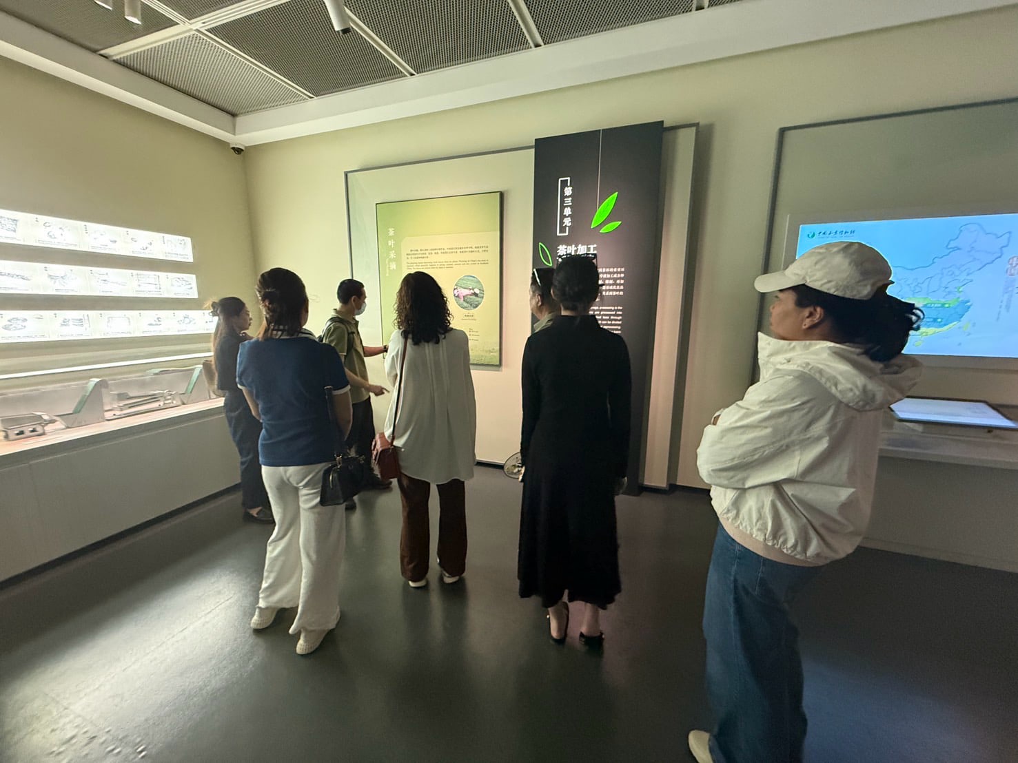 gallery 11