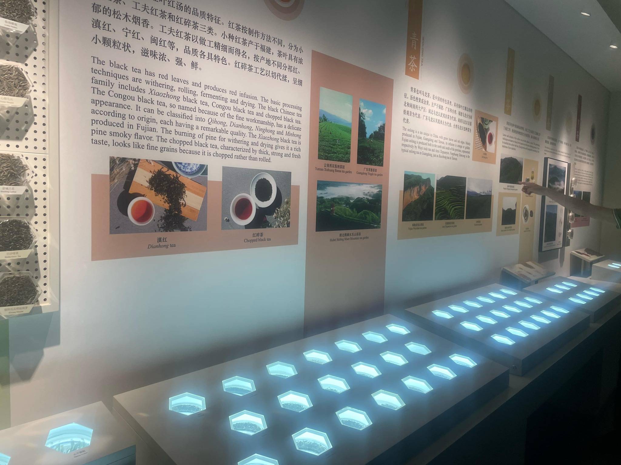 gallery 15