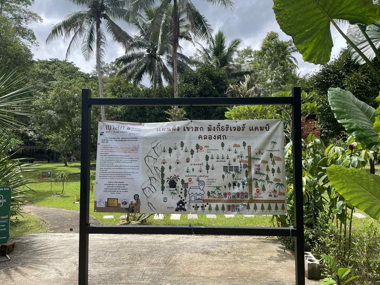 Joining Hands with Khao Sok Entrepreneurs to Reduce Tourism's Carbon Footprint